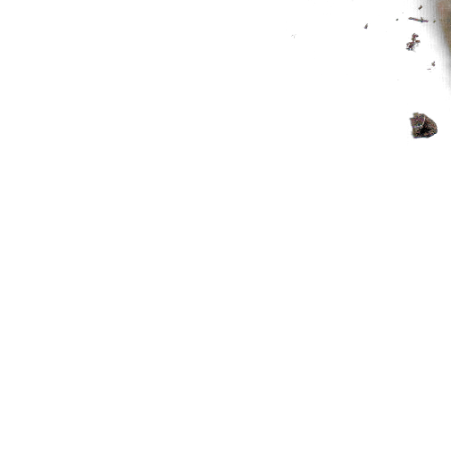 worm