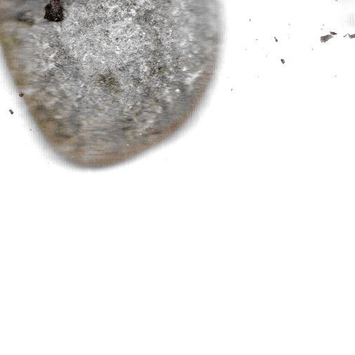 worm